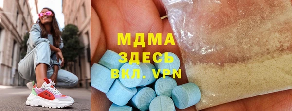 индика Верея