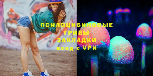 прущая мука Няндома
