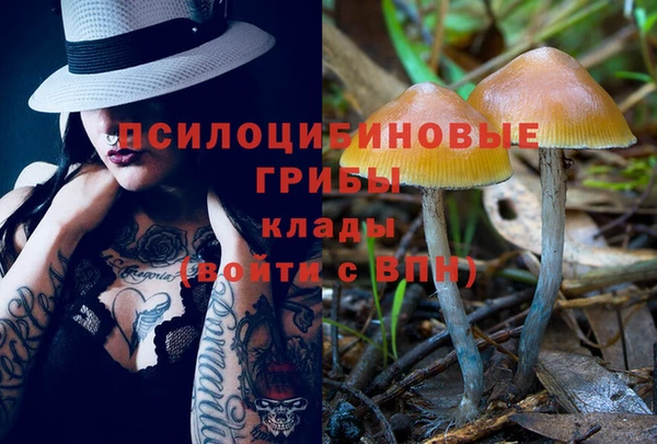 MDMA Нязепетровск