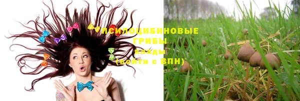 MDMA Нязепетровск