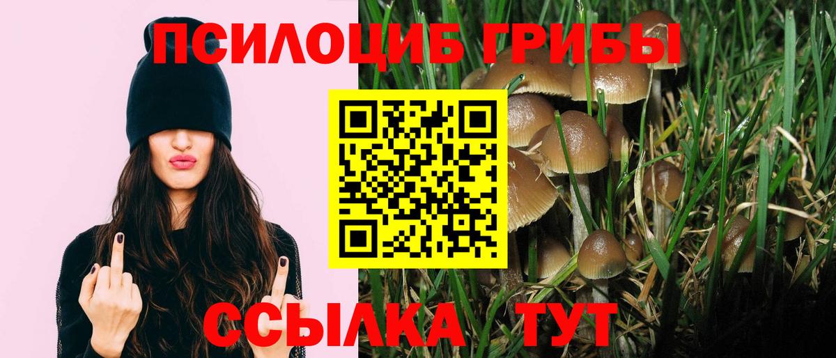 Североморск  Галлюциногенные грибы Magic Shrooms  Вход с VPN 