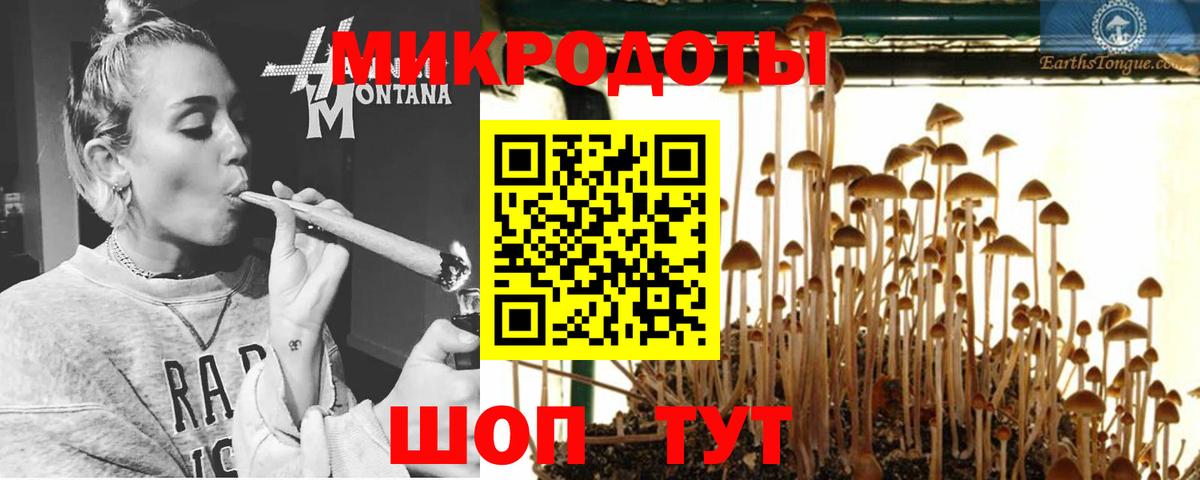 Псилоцибиновые грибы MAGIC MUSHROOMS Североморск